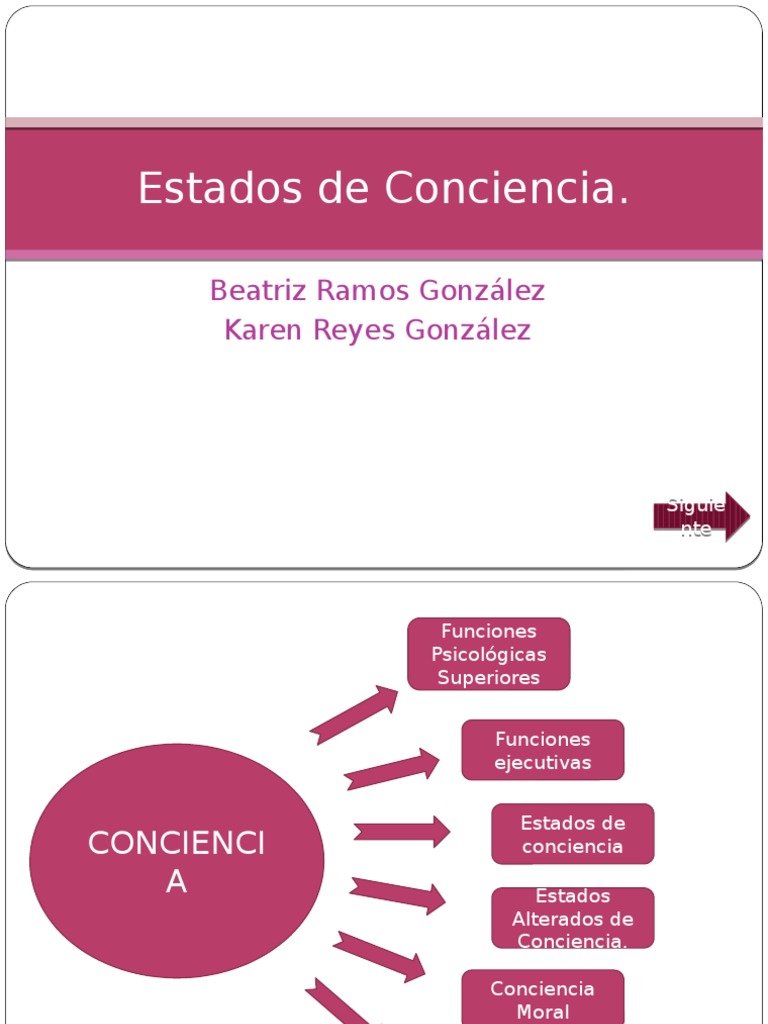 Estados de Conciencia y Funciones Mentales | PDF | Engaño | Moralidad