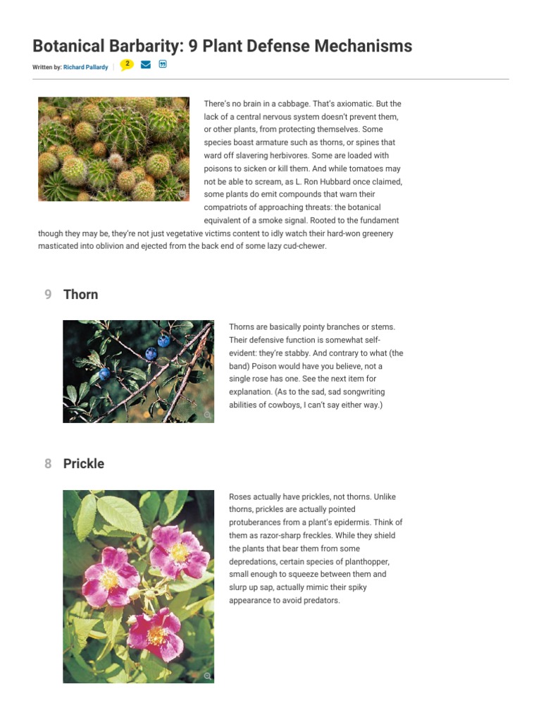 9 Plant Defense Mechanisms | PDF | Horticulture And Gardening | Biology