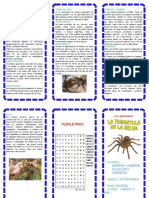 Triptico Araña de La Selva