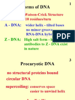 Structure Dna Lecture 