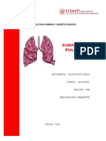 Surfactante Pulmonar