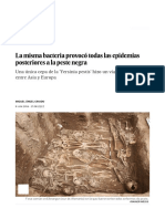 La Misma Bacteria Provocó Todas Las Epidemias Posteriores a La Peste Negra _ Ciencia _ EL PAÍS