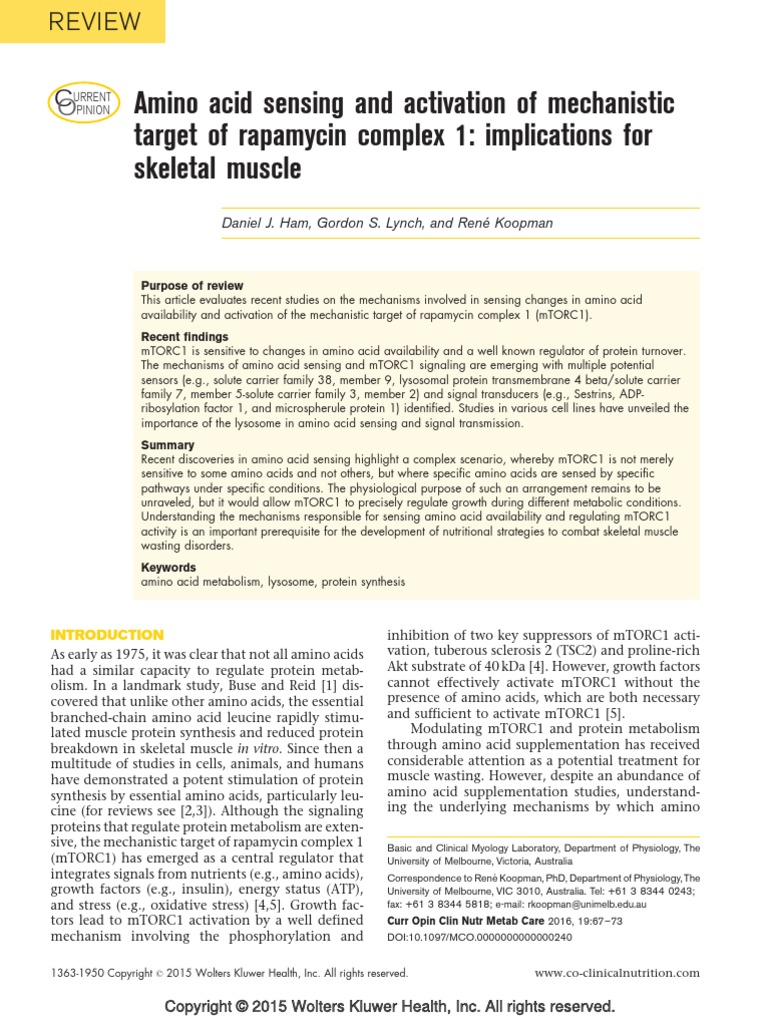 Amino Acid Sensing and Activation of Mechanistic Target of Rapamycin ...