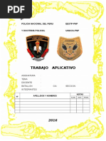 Subunidades de Acciones Tacticas Suat Pnp