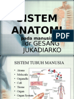 Sistem Anatomi: Pada Manusia