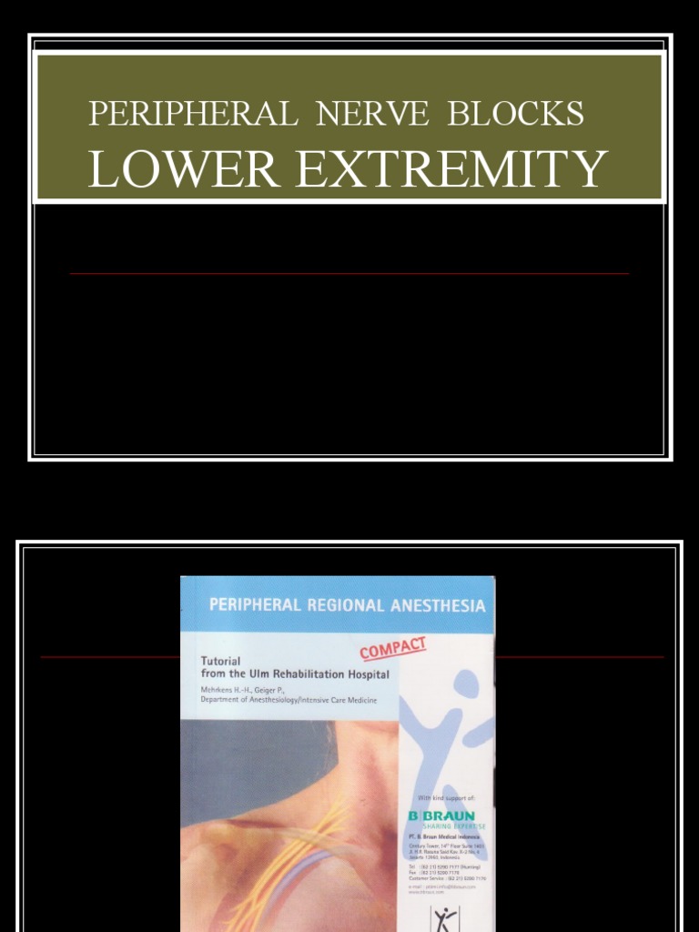 Lower Extremity Nerve Blocks Overview | PDF | Human Leg | Foot