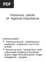 Download Common  Plants  Poisonous to Livestock by Sunil SN31527804 doc pdf