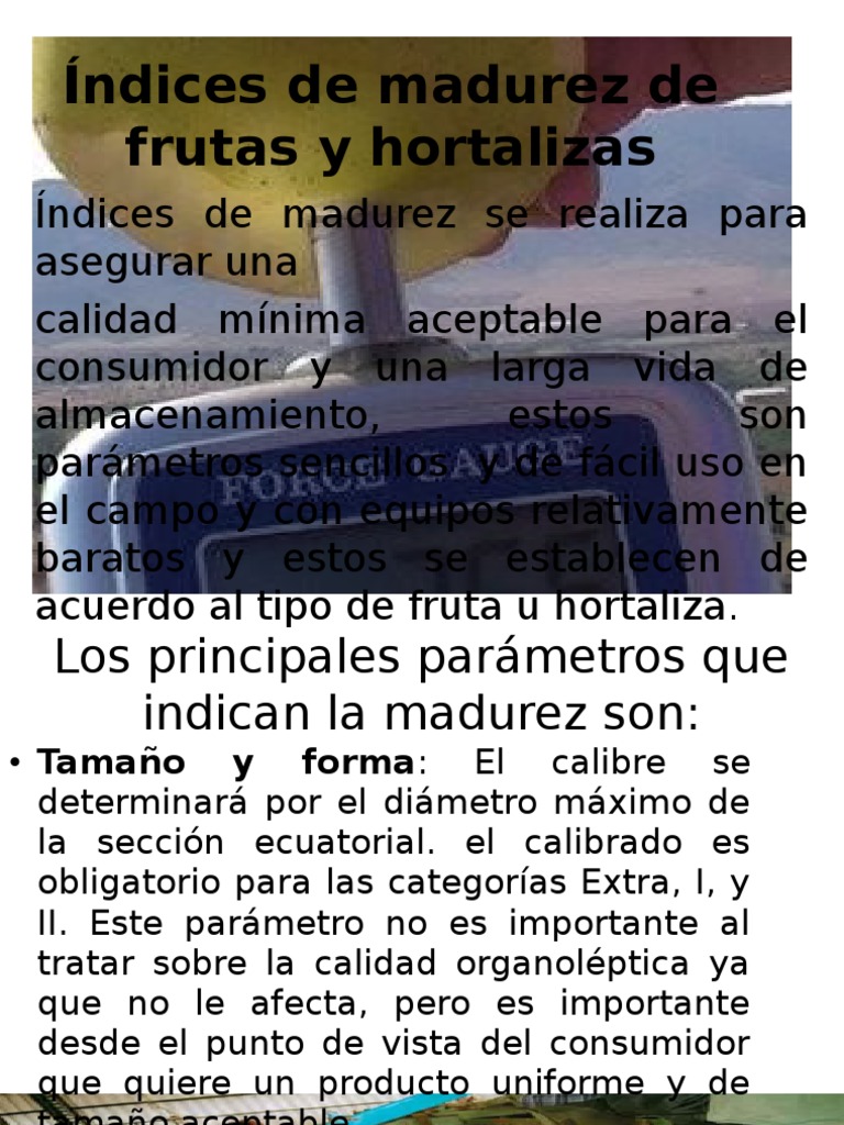 Indices de Madurez de Frutas y Hortalizas PDF Naturaleza