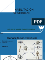 Rehabilitacion Vertigo