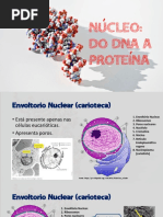 Núcleo e Síntese Proteica