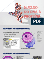 Núcleo e Síntese Proteica
