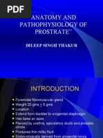 Download  ANATOMY AND PATHOPHYSIOLOGY OF PROSTRATE by rajan kumar SN31530680 doc pdf