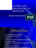 “ ANATOMY AND PATHOPHYSIOLOGY OF PROSTRATE”