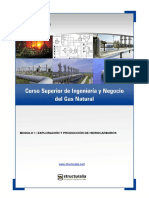 ingenieria-negocio-gas-natural.pdf