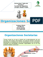 Organizacion Societaria