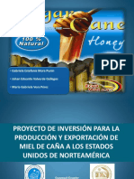 PROYECTO DE INVERSIÓN PARA LA PRODUCCIÓN Y EXPORTACIÓN.pdf