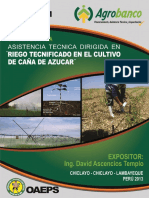 GUIA CAÑA DE AZUCAR CON RIEGO TECNIFICADO..pdf