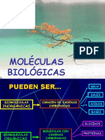 Moleculas biologicas