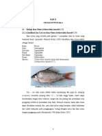 Bab Ii Tinjauan Pustaka: Gambar 1. Ikan Nilem (Ostheochilus Hasselti C.V)