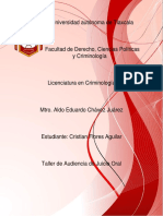 Analisis de CNPP