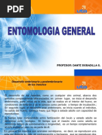 desarrollo embrionario insectos 