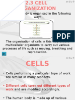 cell