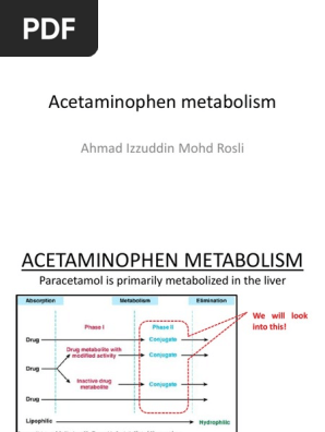 9 Pcm Metabolism Pdf Drug Metabolism Glutathione