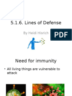5 1 6 Lines of Defense by Hisrich