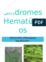 Síndromes Hematúricos