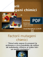 Factorii Chimici