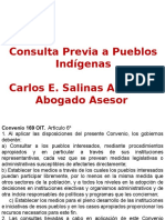 Consulta Previa UExt Carlos Salinas