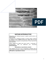 Morfologia Anatomia Plantelor  Tesuturile