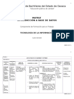 Matriz de Base de Datos