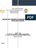 Proceso y Valoración Del-Am-final (1)