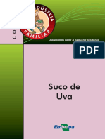 Produção de Sucos de Uva