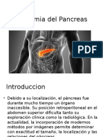 Anatomía del Páncreas: Estructura, Funciones y Relaciones