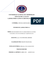 Informes Técnicas Histológicas