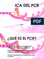 Técnica Del PCR