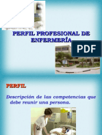 Perfil Profesional