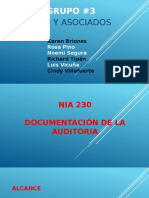 Documentación de auditoría NIA 230