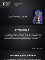 Lesão Medular Versao Original