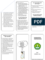 Leaflet Kesehatan Reproduksi - Liza