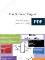 The Bubonic Plague Presentation 4-19-2012 8 11pm