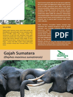 Gajah Bahasa PDF