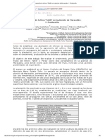 Evaluación de La Lima 'Tahití' en La Planicie de Maracaibo_  I