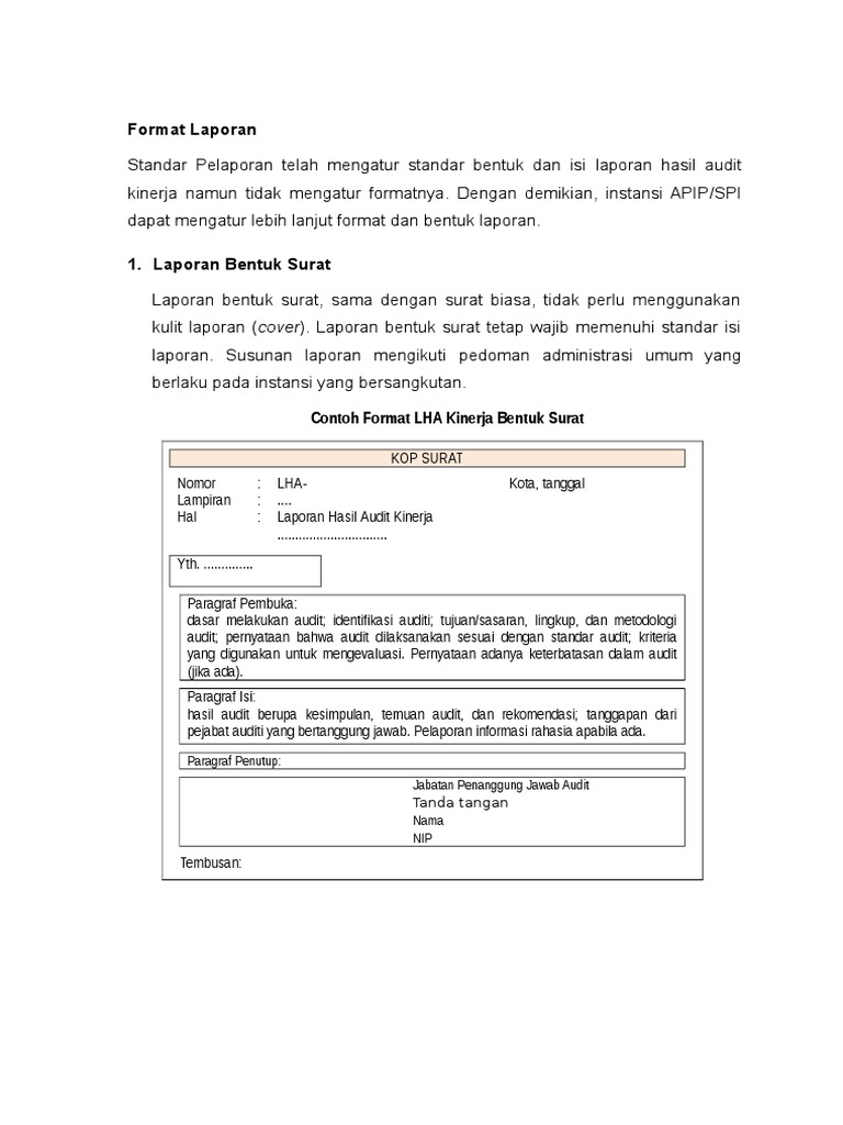 Contoh Laporan Audit Kinerja Rumah Sakit Kumpulan Contoh