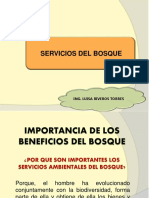 Clase 3. Servicios Del Bosque PDF