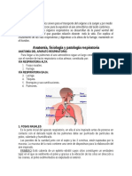 Fisiologia Respiratoria