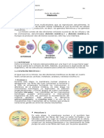 Guía de Estudio Biologia Meiosis