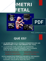 Biometria Fetal Ecografia